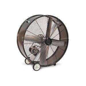 Fans and Heaters