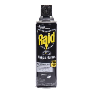 Raid Wasp & Hornet Killer