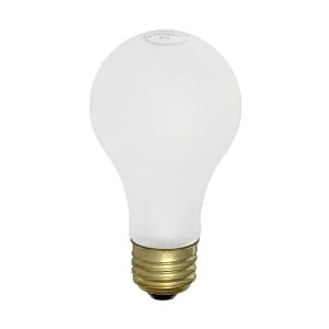 A19 Incandescent Light Bulbs