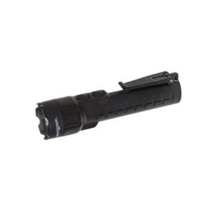 Dual Function Flood/Flashlights