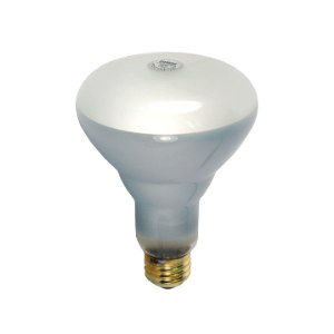 BR30 Incandescent Light Bulbs