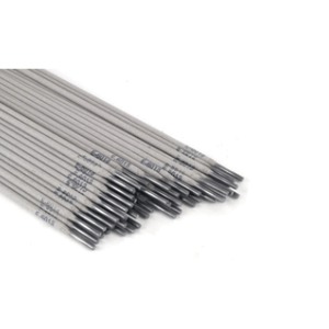 Stainless Steel Electrodes