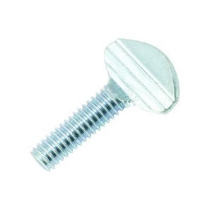 Flattened Head Type B (Type P) Thumb Screws